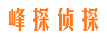 临安峰探私家侦探公司